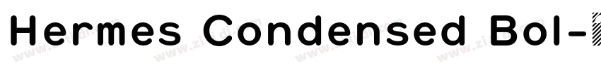 Hermes Condensed Bol字体转换